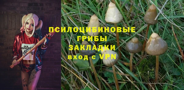 2c-b Сафоново