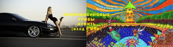дживик Богданович