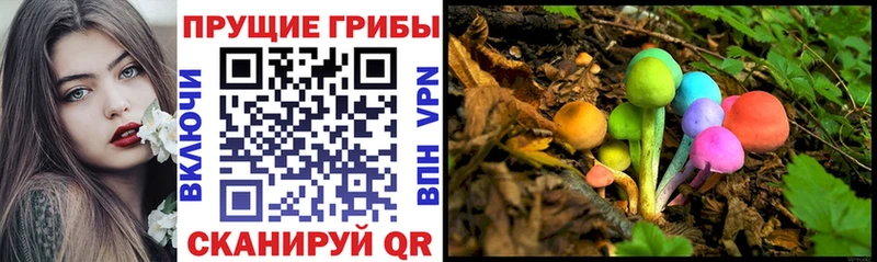 купить наркотик  Тотьма  Псилоцибиновые грибы мицелий 